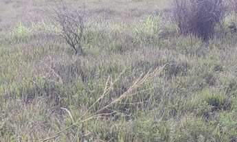 Imagem 5: Enorme Lote/Terreno frente a praia - Saquarema - RJ !!!