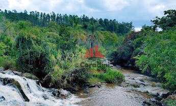 Imagem 2: Sítio com 5 dormitórios à venda, 22000 m² por R$ 500.000 - Zona Rural - Monte Sião/MG