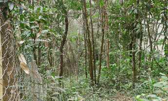 Imagem: OPORTUNIDADE Lote terreno em Macacos nova