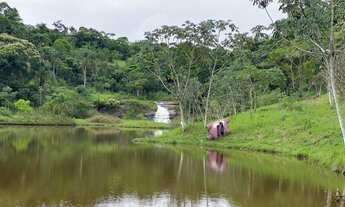 Imagem 4: SUA CHANCE EM IGARATÁ !!!