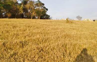 Imagem 3: Chácara em Atibaia-SP