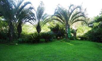 Imagem 4: Maravilhosa Casa - Nova Higienopolis 4 Dormitórios(2 suítes) R$1.490.000,00 - Estuda Permu