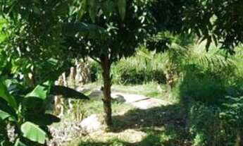 Imagem 5: Lote/terreno à venda em Fundão