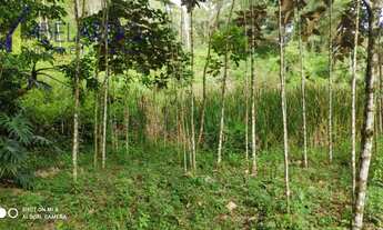 Imagem 5: Blumenau - Sítio - Velha Central