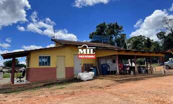 Imagem 6: Fazenda 516 Alqueires ( 2.501 hectares )- Sao Luiz do Norte GO