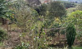 Imagem 6: Chácara com 3 dormitórios à venda, 7500 m² por R$ 690.000,00 - Zona Rural - Morungaba/SP