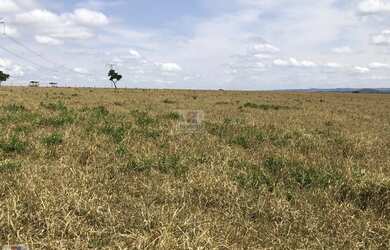 Imagem: Sítio / Chácara para Venda em Abadiânia