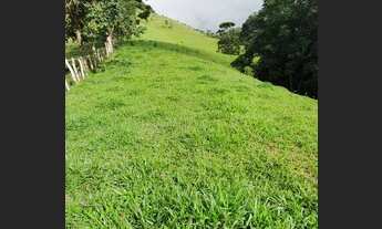 Imagem 7: Vende-se sitio no bairro da Gloria em Cristina-MG