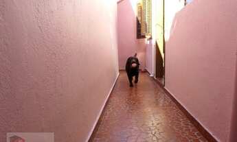 Imagem 3: Terreno à venda, 260 m² por R$ 1.200.000,00 - Vila Guilhermina - São Paulo/SP