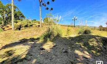 Imagem 3: Terreno à venda, 1000 m² por R$ 1.000.000,00 - Jardim das Pérolas - Campos do Jordão/SP