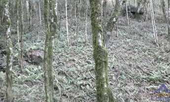 Imagem 3: CHÁCARA FAZENDA SOUZA