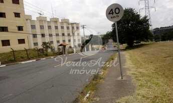 Imagem: Apartamento - Jardim García - Campinas
