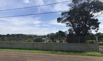 Imagem 3: RIBEIRãO PRETO - Padrão - Vila Virgínia