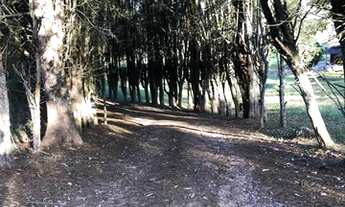 Imagem 3: Invista com lotes imperdíveis em Ibiúna - SP