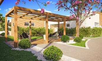 Imagem 5: Gt; VIVA CLUBE DA ILHA