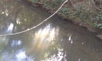 Imagem 7: Em Planaltina DF vendo excelente e linda chácara com muita água 6,8 hectares