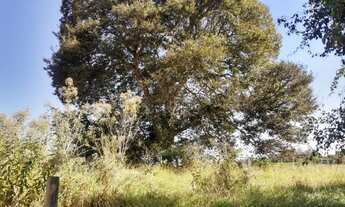 Imagem: Vende-se chácara Senador Canedo