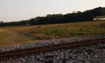 Imagem 3: Terreno industrial com ótima localização ?