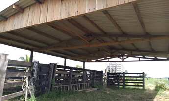 Imagem 6: Fazenda para pecuária com 58 alqueires de terra em Tucumã no Pará