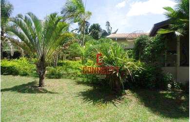 Imagem 6: Sítio com 2 dormitórios à venda, 2 m² por R$ 950.000 - Zona Rural - Altinópolis/SP