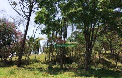 Imagem 2: Sítio com 4 dormitórios à venda, 29000 m² por R$ 450.000 - Centro - Salesópolis/SP