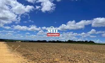 Imagem 4: Fazenda 516 Alqueires ( 2.501 hectares )- Sao Luiz do Norte GO