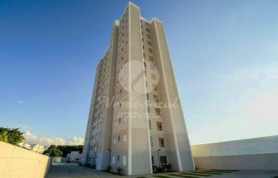 Imagem 12: Apartamento - Loteamento Adventista Campineiro - Hortolândia