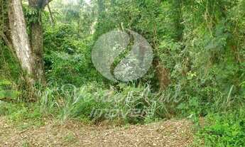 Imagem 3: Terreno - Distrito Industrial Benedito Storani - Vinhedo