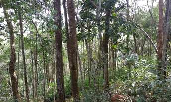 Imagem 2: Nova Lima - Loteamento/Condomínio - Jardim Petropolis
