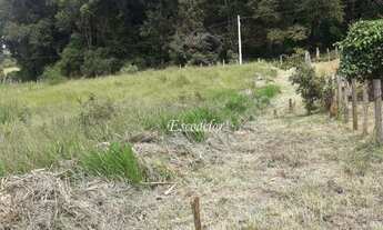 Imagem 6: Terreno à venda, 1851 m² por R$ 129.000,00 - Rural - Socorro/SP