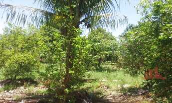 Imagem 5: Chácara com 2 dormitórios à venda, 1275 m² por R$ 350.000,00 - Chácara Recreio Cruzeiro do