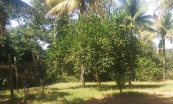 Imagem 6: Sítio com 7 dormitórios à venda, 10446 m² por R$ 650.000,00 - Madressilva - Saquarema/RJ