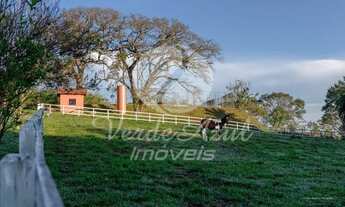 Imagem 5: Chácara - Loteamento Residencial Pedra Alta (Sousas) - Campinas
