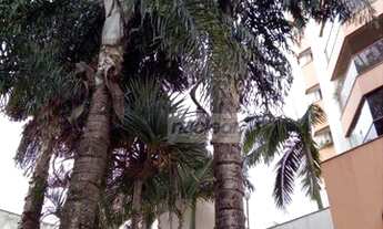 Imagem: Apartamento com 3 dormitórios à venda