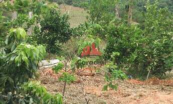 Imagem 6: Sítio com 5 dormitórios à venda, 22000 m² por R$ 500.000 - Zona Rural - Monte Sião/MG