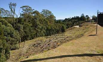 Imagem 1: Terreno à venda, 1346 m² por R$ 1.400.000,00 - Colinas Capivari - Campos do Jordão/SP