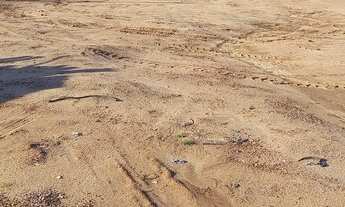 Imagem 2: Terreno na zona urbana de Santarém