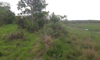 Imagem 5: FAZENDINHAS com Terra roxa, 5x= R$5.600,00 mais parcelas