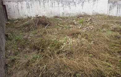 Imagem 6: São Paulo - Casa Comercial - JARDIM SÃO BENTO