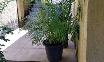 Imagem 7: Casa com 2 dormitórios à venda, 140 m² por R$ 500.000,08 - Vila Gustavo - São Paulo/SP