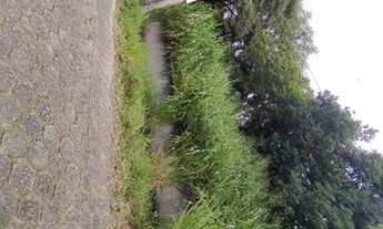 Imagem: Terreno no bairro Pantanal