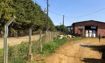 Imagem 3: Terreno industrial