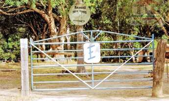 Imagem 6: Chácara com 3 dormitórios à venda, 484000 m² por R$ 800.000,00 - São Félix - Marabá/PA