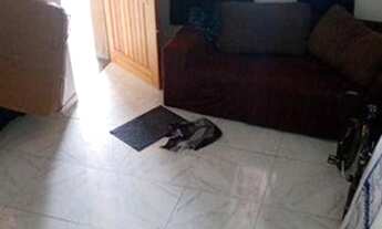 Imagem 4: Sobrado com 3 dormitórios à venda, 150 m² por R$ 180.000,00 - Jardim das Palmeiras - Itanh