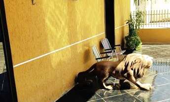 Imagem 4: Vendo Casa em Colombo C/4 quartos 1 Suite/Hidro dupla,Piscina 4x8 aquecida,Terreno grande