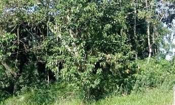 Imagem 3: Terreno à venda no bairro Fazenda Capelinha - Mogi das Cruzes/SP