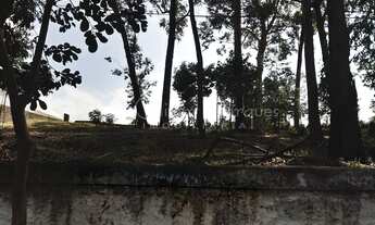 Imagem 6: Terreno à venda, - Parque dos Príncipes - São Paulo/SP