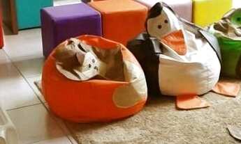 Imagem 3: Apartamento - Parque Fazendinha - Campinas