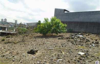 Imagem 2: SãO PAULO - Terreno Padrão - Parque Cruzeiro Do Sul