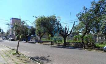 Imagem 3: Terreno 22,80 X 33 plano no Rio Branco Novo Hamburgo